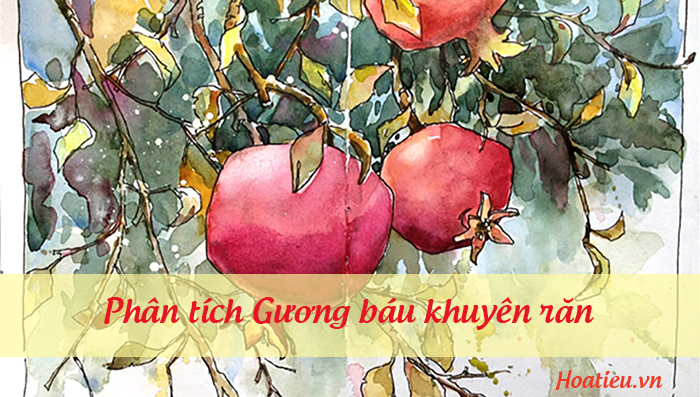 Dàn ý phân tích Gương báu khuyên răn 