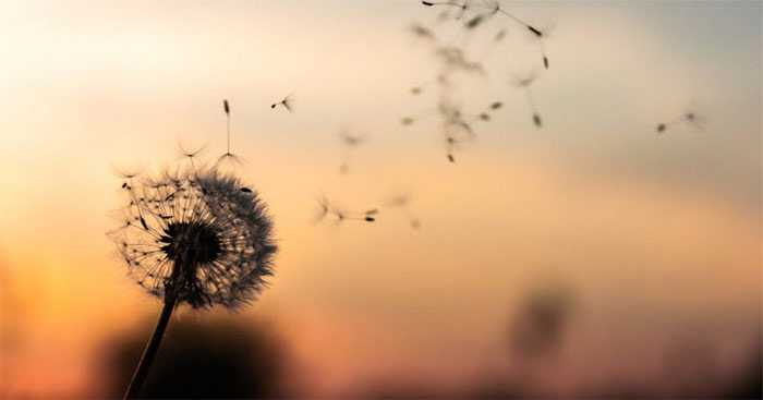 phan tich kho 1 bai voi vang