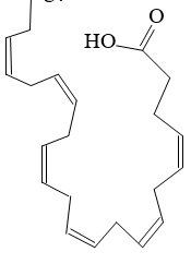 A black outline of a structure

AI-generated content may be incorrect.