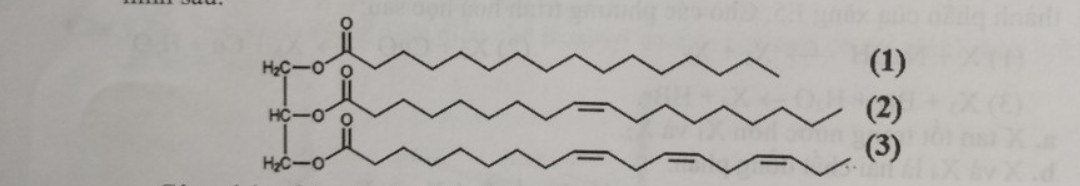 A black line on a white surface

Description automatically generated