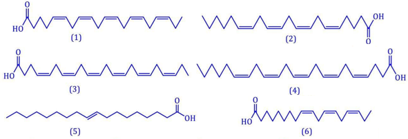 Several lines of chemical formulas

AI-generated content may be incorrect.
