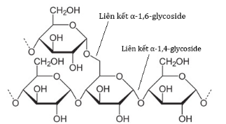 A diagram of a chemical structure

AI-generated content may be incorrect.
