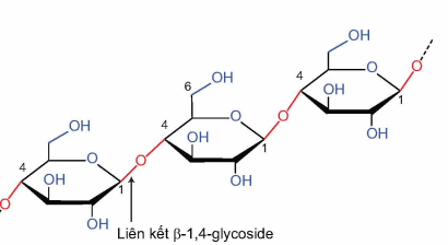 A diagram of a chemical formula

AI-generated content may be incorrect.
