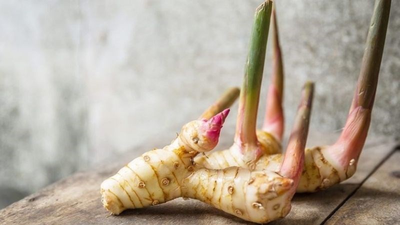 Củ riềng là bộ phận dùng làm thuốc của cây riềng