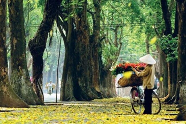 Tháng 9 mùa lúa chín