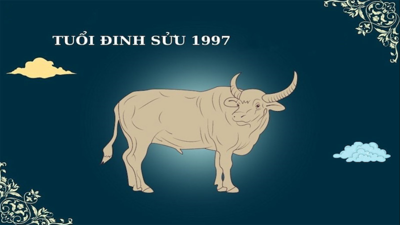 1997 năm nay bao nhiêu tuổi 2025