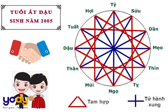 2005 hợp hướng nào?