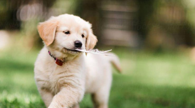 sinh nam 2006 hoc lop 1 nam nao 1