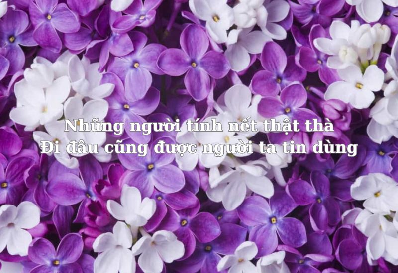 ca dao tục ngữ về lòng trung thực
