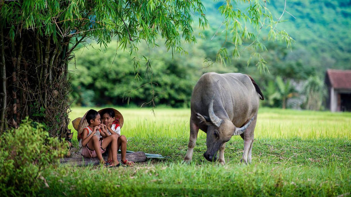 Thơ lục bát là gì