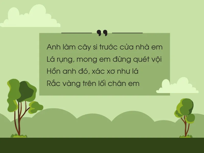 Trồng cây si là gì? Ý nghĩa của trồng cây si trong tình yêu