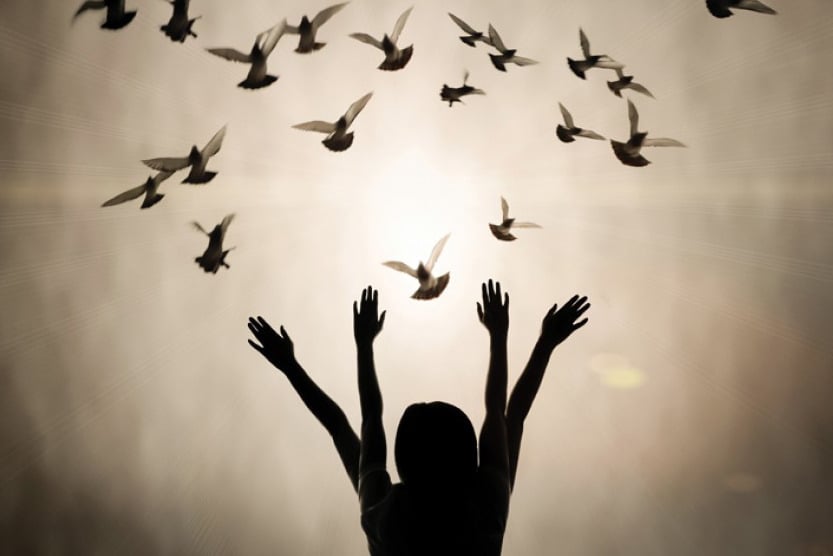 Bài cúng phóng sinh Phật tử nên biết 1