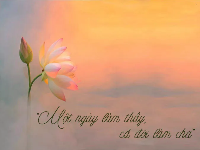 voh-ton-su-trong-dao-4