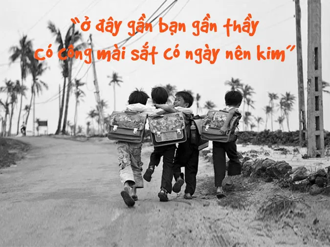 voh-ton-su-trong-dao-5