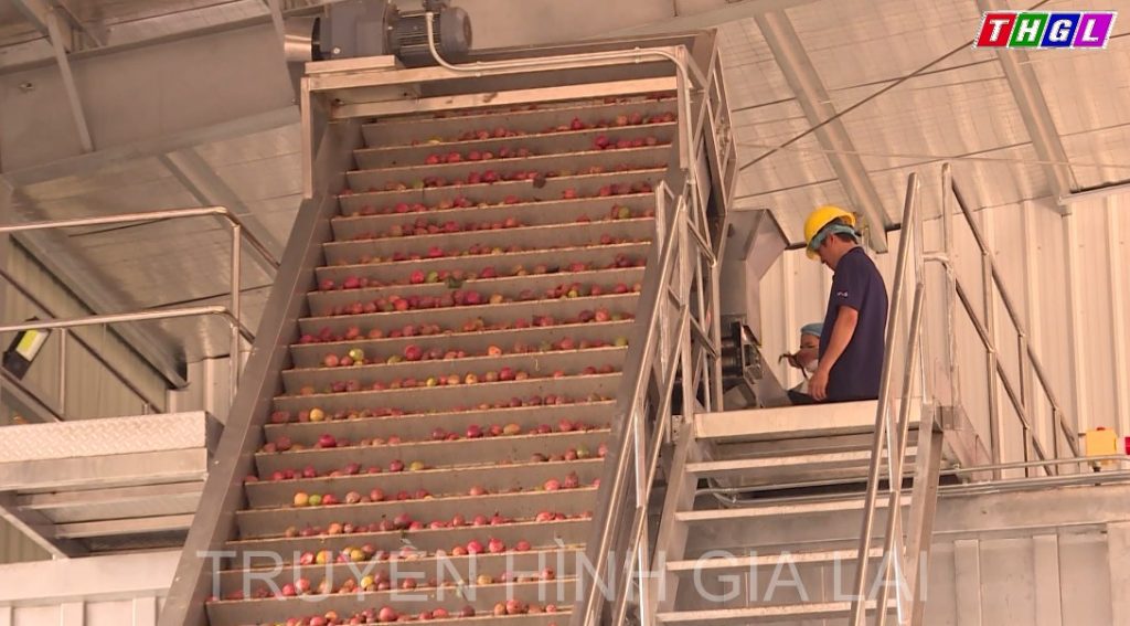 viec day manh che bien nong san se gop phan