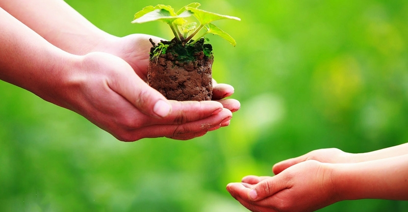 Thế nào là lòng vị tha? Lợi ích với sức khỏe tâm thần 1