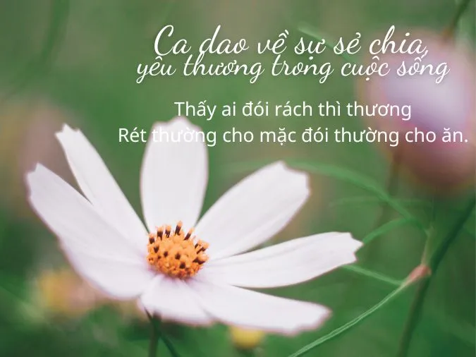 y-nghia-cua-su-chia-se-trong-cuoc-song-voh-4