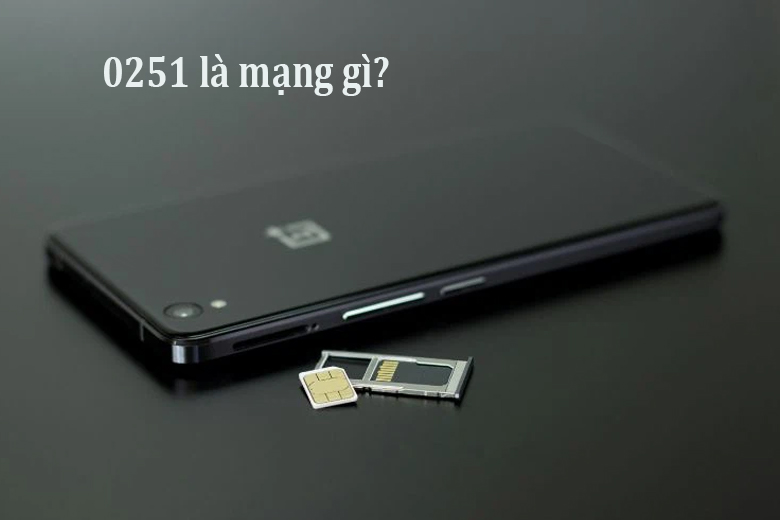 0251 là mạng gì?