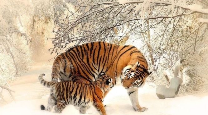 16 tuoi sinh nam bao nhieu 1