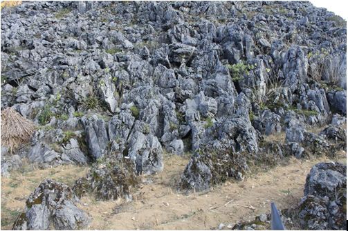 Địa hình cac-xto