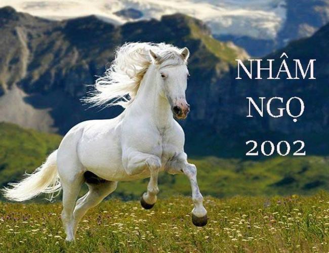 Tuổi Nhâm Ngọ 2002 mệnh gì