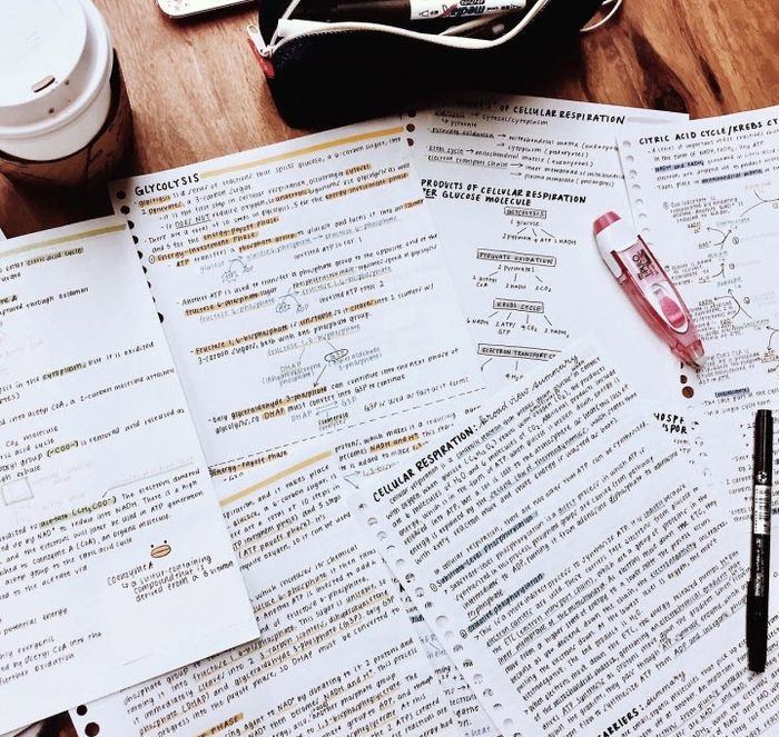 anh sach vo on thi 44