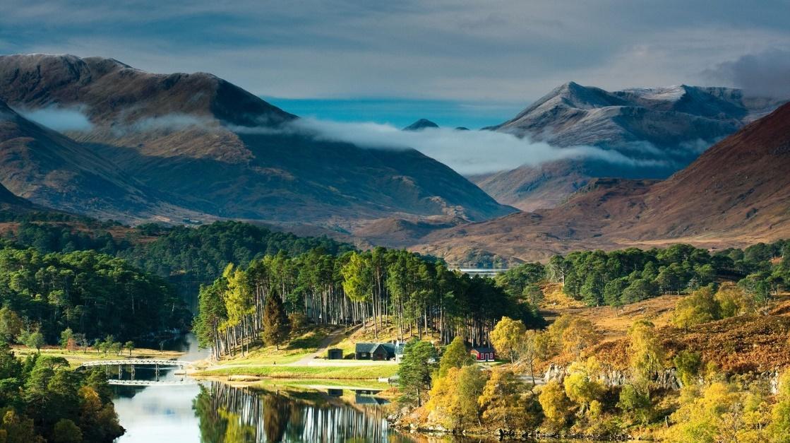 Những khu rừng đẹp mê hồn nhất ở Vương quốc Anh - Trip14