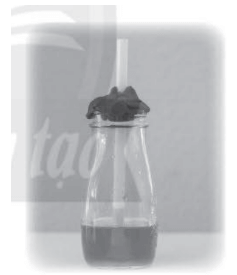 Vở bài tập Khoa học lớp 4 Chân trời sáng tạo Bài 12: Nhiệt độ và nhiệt kế