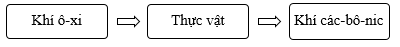 Vở bài tập Khoa học lớp 4 Cánh diều Bài 13: Nhu cầu sống của thực vật và chăm sóc cây trồng 