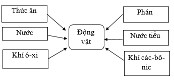 Vở bài tập Khoa học lớp 4 Cánh diều Bài 14: Nhu cầu sống của động vật và chăm sóc vật nuôi 