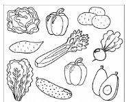 Vở bài tập Khoa học lớp 4 Chân trời sáng tạo Bài 23: Các nhóm chất dinh dưỡng có trong thức ăn