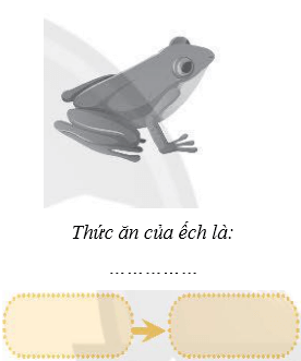 Vở bài tập Khoa học lớp 4 Chân trời sáng tạo Bài 30: Chuỗi thức ăn trong tự nhiên