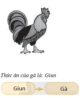 Vở bài tập Khoa học lớp 4 Chân trời sáng tạo Bài 30: Chuỗi thức ăn trong tự nhiên