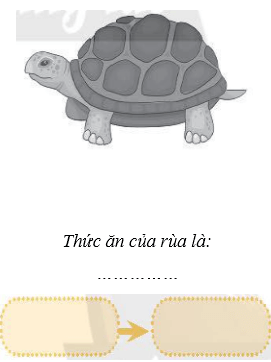 Vở bài tập Khoa học lớp 4 Chân trời sáng tạo Bài 30: Chuỗi thức ăn trong tự nhiên