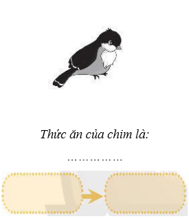 Vở bài tập Khoa học lớp 4 Chân trời sáng tạo Bài 30: Chuỗi thức ăn trong tự nhiên