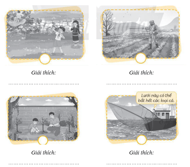 Vở bài tập Khoa học lớp 4 Chân trời sáng tạo Bài 31: Vai trò của thực vật trong chuỗi thức ăn