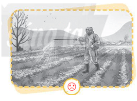 Vở bài tập Khoa học lớp 4 Chân trời sáng tạo Bài 31: Vai trò của thực vật trong chuỗi thức ăn