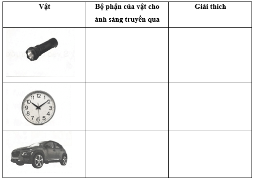 Vở bài tập Khoa học lớp 4 Cánh diều Bài 7: Sự truyền ánh sáng