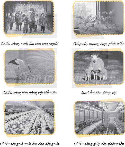 Vở bài tập Khoa học lớp 4 Chân trời sáng tạo Bài 9: Ánh sáng với đời sống