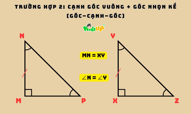 Ảnh vẽ hai tam vuông bằng nhau và đi tìm độ dài của cạnh huyền