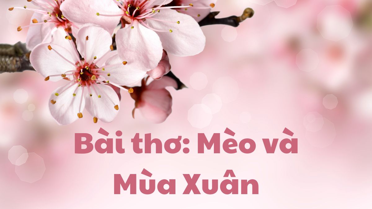 Những bài thơ mùa xuân hài hước
