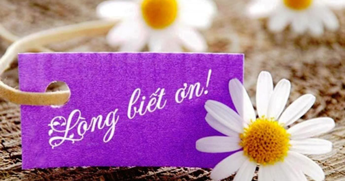 bai van nghi luan ve long biet on