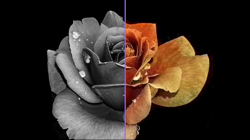 Tác dụng biện pháp tu từ tương phản. (Ảnh: Sưu tầm Internet)