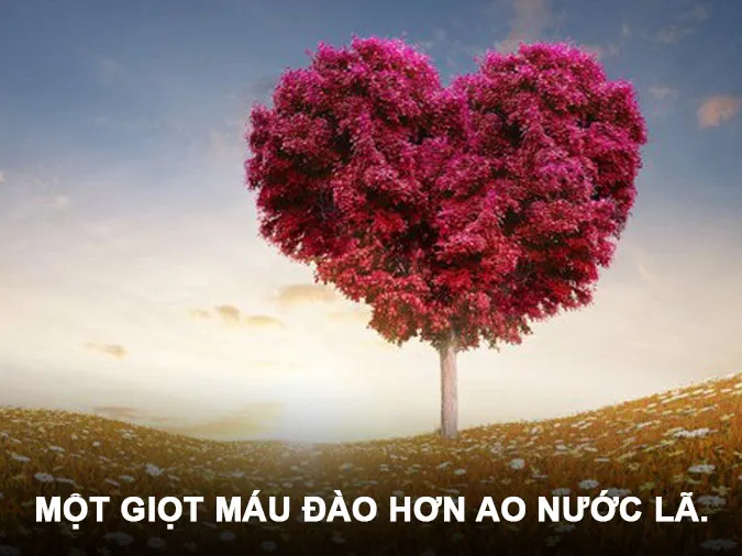 ca-dao-tuc-ngu-ve-yeu-thuong-con-nguoi-voh-0