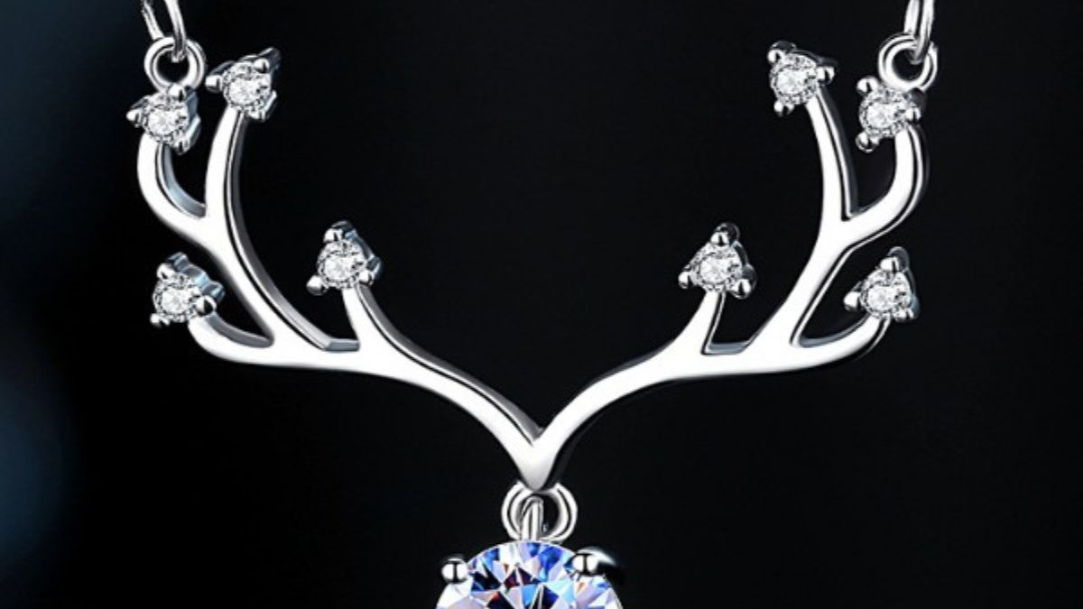 Mang vật có chiếc sừng để đi thi may mắn