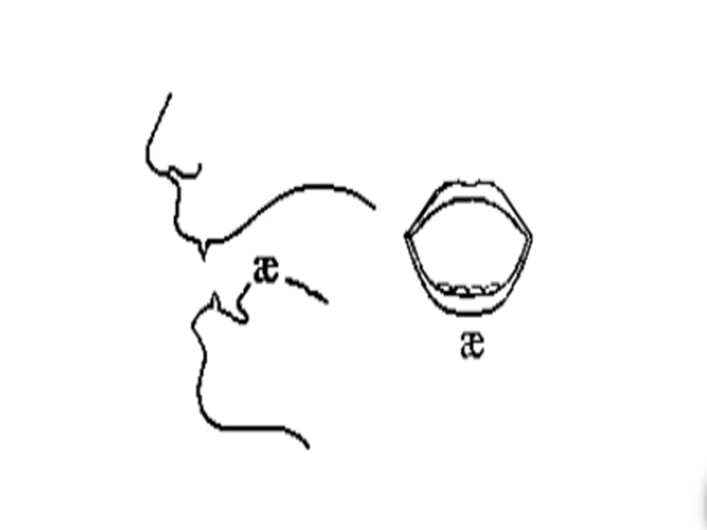 Phát âm e khác với âm /æ/ | ELSA Speak