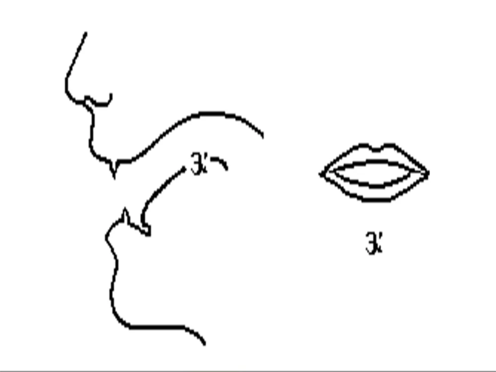 Phát âm e là /ɜ:/ khi đứng trước chữ r | ELSA Speak