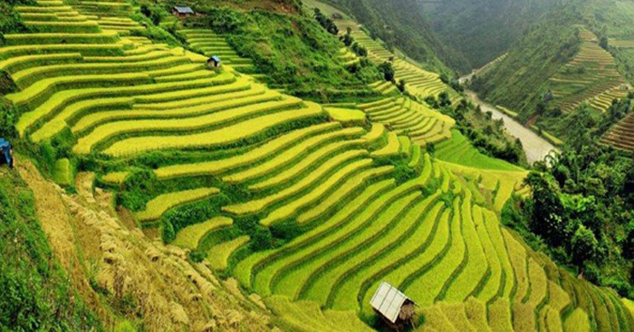 Văn mẫu lớp 12: Cảm nhận 8 câu thơ đầu bài Việt Bắc (3 Dàn ý + 13 mẫu) Việt Bắc của Tố Hữu