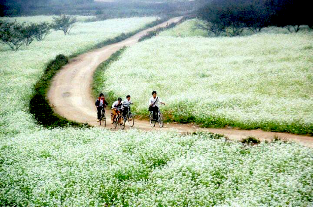 chat tho trong truyen ngan toi di hoc