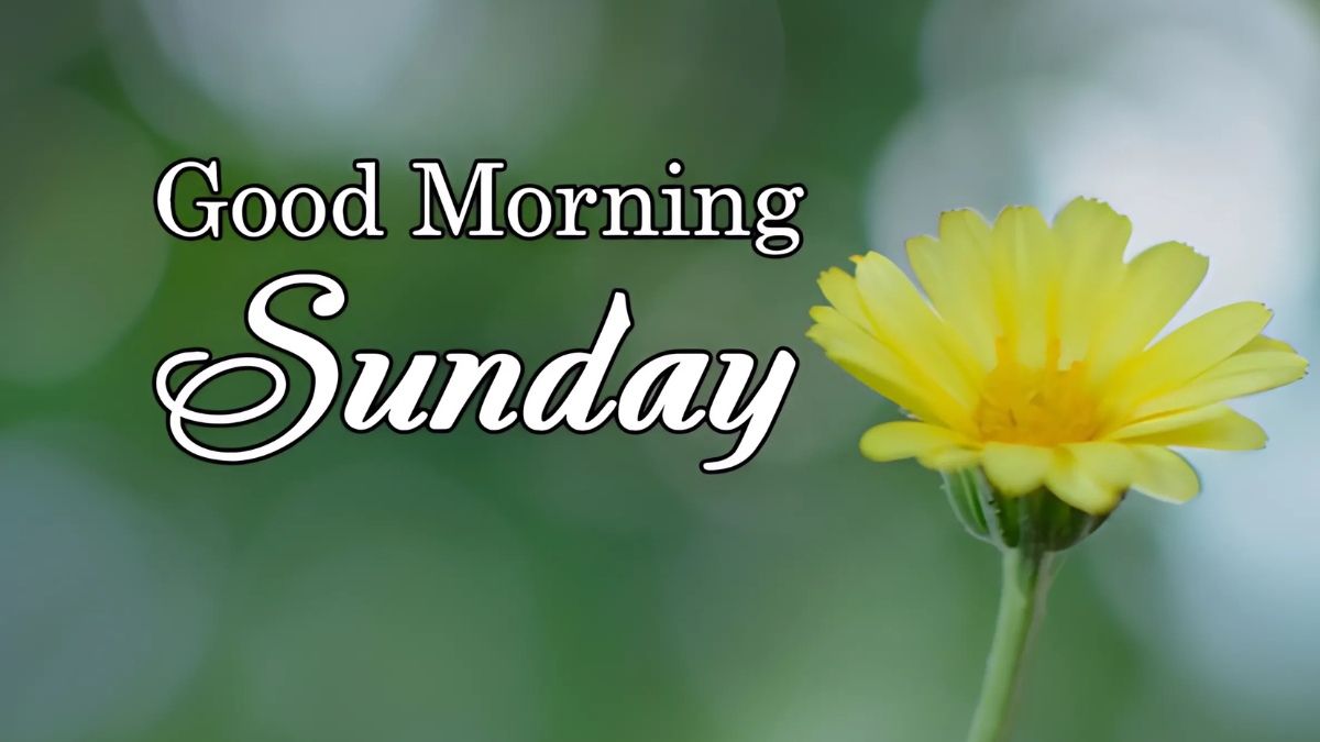 Chào ngày mới chủ nhật hào hứng đầy niềm vui